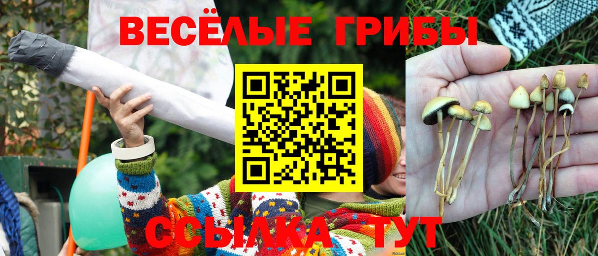 Нижнеудинск  Псилоцибиновые грибы Magic Shrooms  закладки  Вход с VPN 